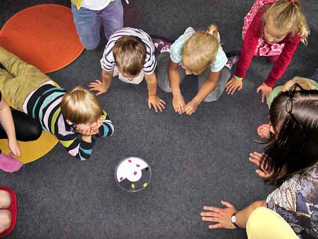 服务器攻击软件